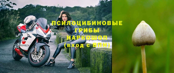 не бодяженный Аркадак