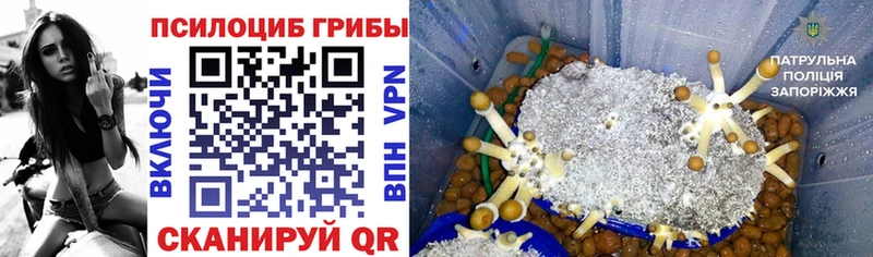 блэк спрут ссылка  Унеча  Галлюциногенные грибы MAGIC MUSHROOMS 